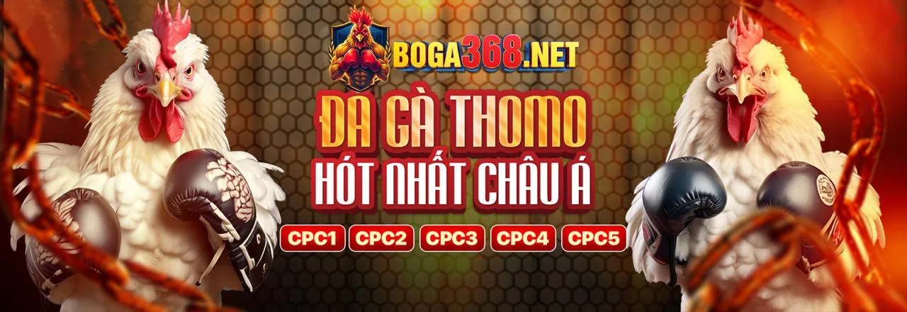 Hoàn Trả Thể Thao Cao