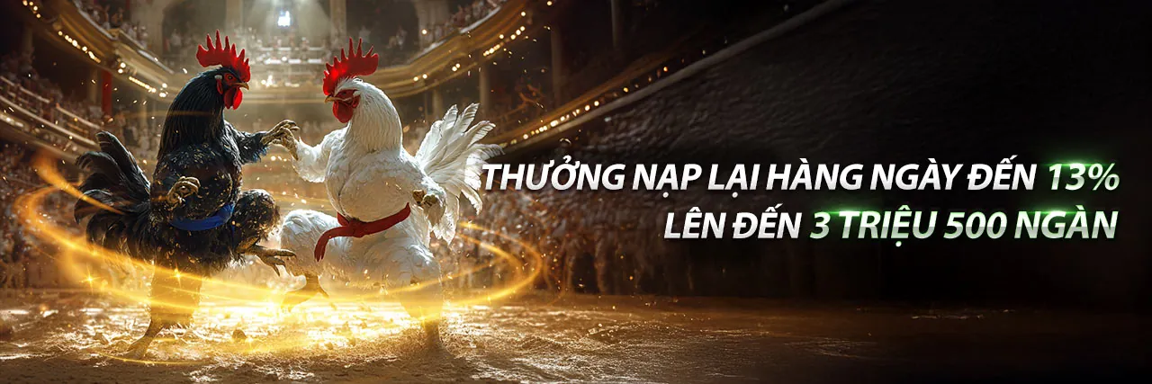 Giao diện betvnd9 trang chủ chính thức với các yếu tố bảo mật và công bằng